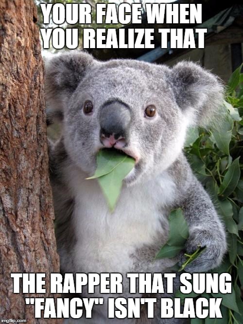Surprised Koala | YOUR FACE WHEN YOU REALIZE THAT THE RAPPER THAT SUNG "FANCY" ISN'T BLACK | image tagged in memes,surprised koala | made w/ Imgflip meme maker