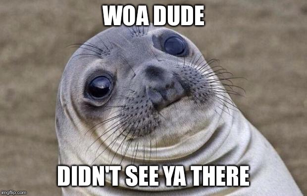 How did you get here? | WOA DUDE DIDN'T SEE YA THERE | image tagged in memes,awkward moment sealion,funny,lol,fat,fat seal | made w/ Imgflip meme maker