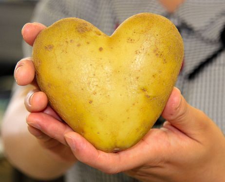 High Quality Heart Shaped Potato Blank Meme Template