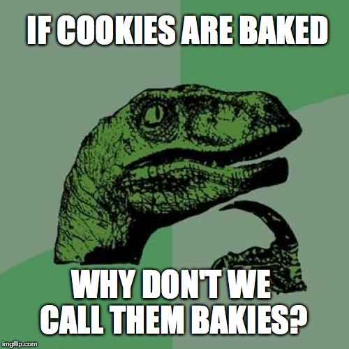 Philosoraptor | IF COOKIES ARE BAKED WHY DON'T WE CALL THEM BAKIES? | image tagged in memes,philosoraptor | made w/ Imgflip meme maker