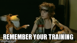 Remember your training | REMEMBER YOUR TRAINING | image tagged in gifs | made w/ Imgflip video-to-gif maker