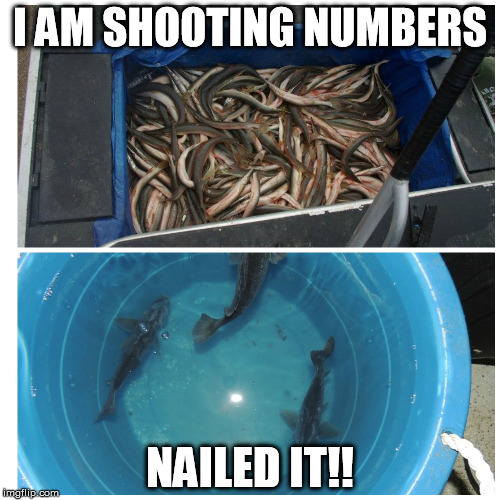 I AM SHOOTING NUMBERS NAILED IT!! | image tagged in hunting | made w/ Imgflip meme maker