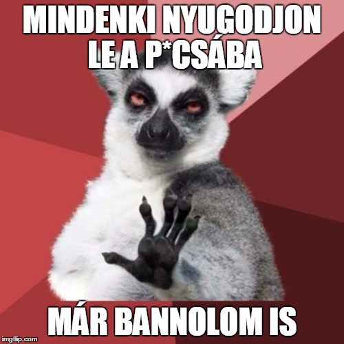 Chill Out Lemur Meme | MINDENKI NYUGODJON LE A P*CSÁBA MÁR BANNOLOM IS | image tagged in memes,chill out lemur | made w/ Imgflip meme maker