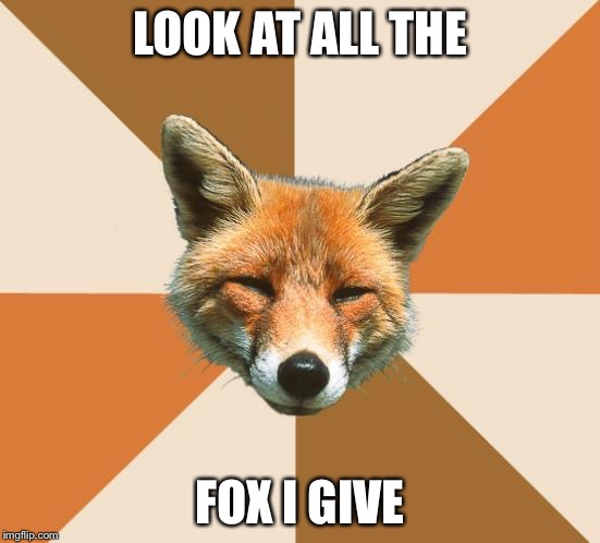 Condescending Fox | LOOK AT ALL THE FOX I GIVE | image tagged in condescending fox | made w/ Imgflip meme maker