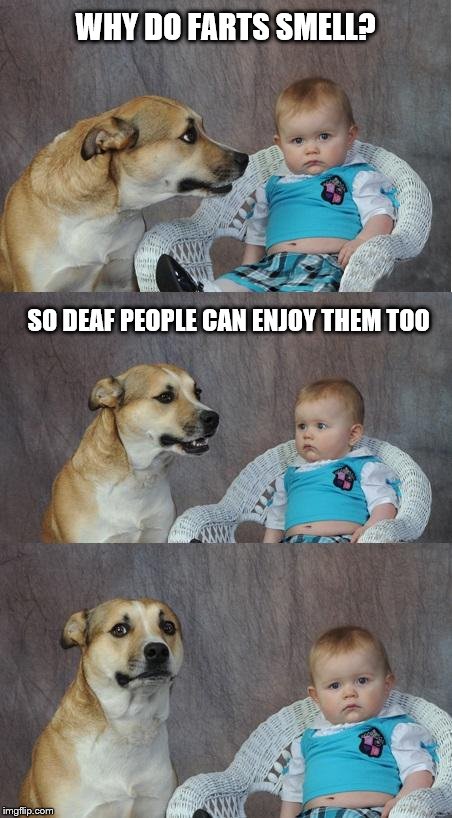 Bad joke dog | WHY DO FARTS SMELL? SO DEAF PEOPLE CAN ENJOY THEM TOO | image tagged in bad joke dog | made w/ Imgflip meme maker