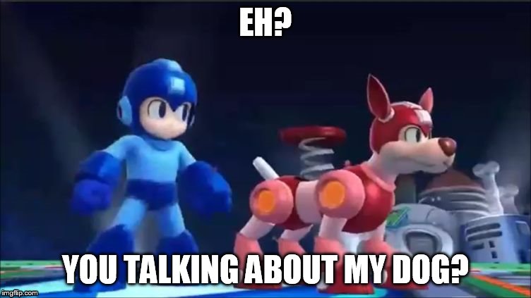 Megaman and Rush | EH? YOU TALKING ABOUT MY DOG? | image tagged in megaman and rush | made w/ Imgflip meme maker