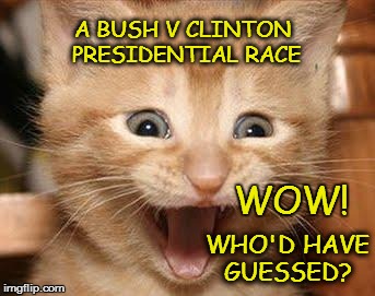 Excited Cat Meme | A BUSH V CLINTON PRESIDENTIAL RACE WHO'D HAVE GUESSED? WOW! | image tagged in memes,excited cat | made w/ Imgflip meme maker