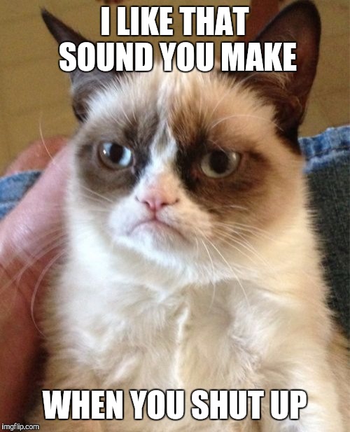 Grumpy Cat | I LIKE THAT SOUND YOU MAKE WHEN YOU SHUT UP | image tagged in memes,grumpy cat | made w/ Imgflip meme maker