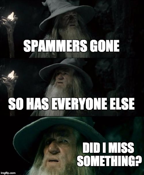 Did I check back at a quiet time on Imgflip? Did something big just happen? | SPAMMERS GONE SO HAS EVERYONE ELSE DID I MISS SOMETHING? | image tagged in memes,confused gandalf | made w/ Imgflip meme maker