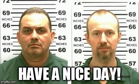 HAVE A NICE DAY! | image tagged in have a nice day | made w/ Imgflip meme maker