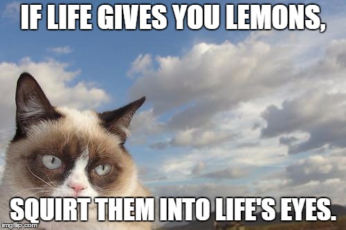 Grumpy Cat Sky | IF LIFE GIVES YOU LEMONS, SQUIRT THEM INTO LIFE'S EYES. | image tagged in memes,grumpy cat sky,grumpy cat | made w/ Imgflip meme maker