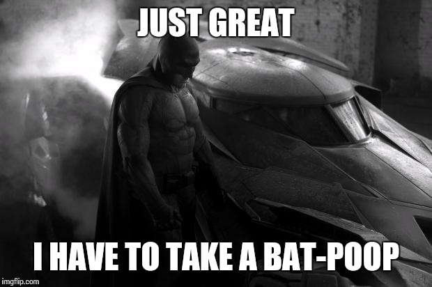 Sad Batman | JUST GREAT I HAVE TO TAKE A BAT-POOP | image tagged in sad batman | made w/ Imgflip meme maker