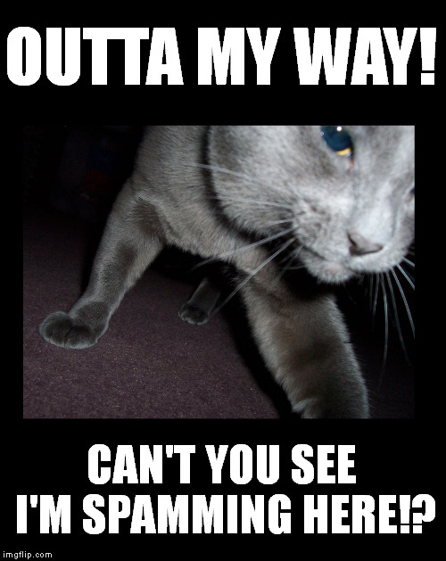 OUTTA MY WAY! CAN'T YOU SEE I'M SPAMMING HERE!? | image tagged in outta my way tiberius the cat | made w/ Imgflip meme maker