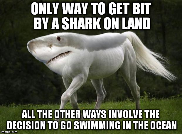 Shark Horse | ONLY WAY TO GET BIT BY A SHARK ON LAND ALL THE OTHER WAYS INVOLVE THE DECISION TO GO SWIMMING IN THE OCEAN | image tagged in shark horse | made w/ Imgflip meme maker