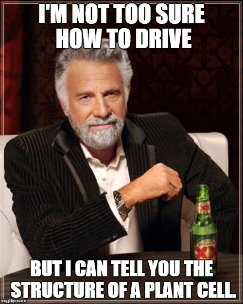 School | I'M NOT TOO SURE HOW TO DRIVE BUT I CAN TELL YOU THE STRUCTURE OF A PLANT CELL. | image tagged in memes,the most interesting man in the world,school | made w/ Imgflip meme maker