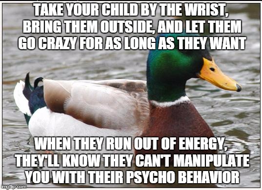 Actual Advice Mallard | TAKE YOUR CHILD BY THE WRIST, BRING THEM OUTSIDE, AND LET THEM GO CRAZY FOR AS LONG AS THEY WANT WHEN THEY RUN OUT OF ENERGY, THEY'LL KNOW T | image tagged in memes,actual advice mallard,AdviceAnimals | made w/ Imgflip meme maker