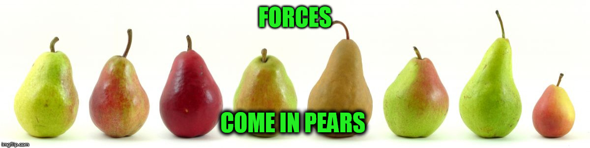 FORCES COME IN PEARS | image tagged in forces come in pears | made w/ Imgflip meme maker
