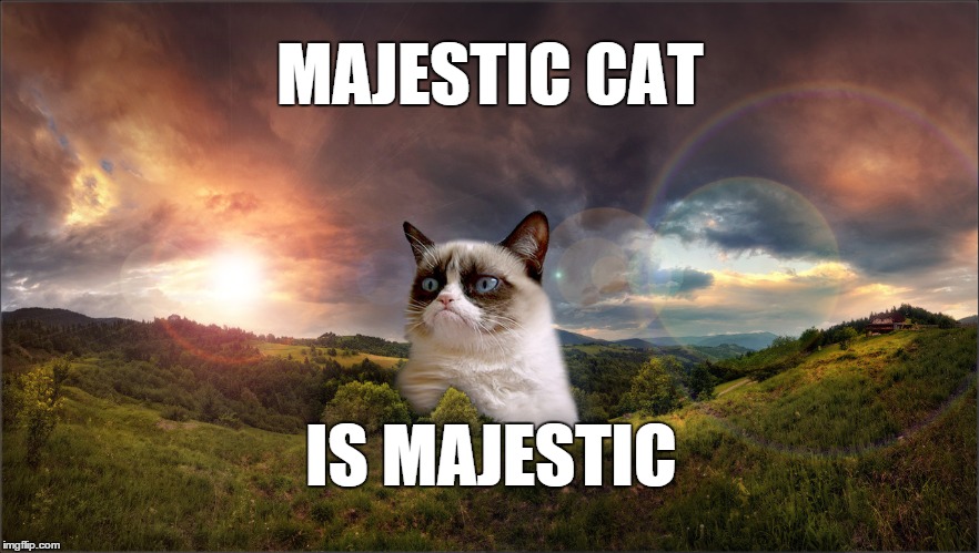 Majestic Cat is Majestic | MAJESTIC CAT IS MAJESTIC | image tagged in grumpy cat,majestic,sunset | made w/ Imgflip meme maker