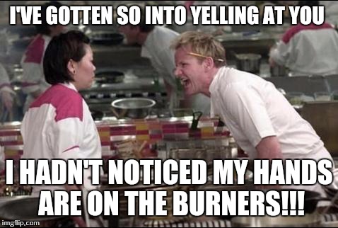 Angry Chef Gordon Ramsay Meme | I'VE GOTTEN SO INTO YELLING AT YOU I HADN'T NOTICED MY HANDS ARE ON THE BURNERS!!! | image tagged in memes,angry chef gordon ramsay | made w/ Imgflip meme maker