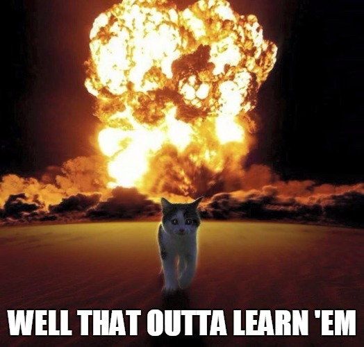 cat lessons | WELL THAT OUTTA LEARN 'EM | image tagged in fire 5,funny | made w/ Imgflip meme maker