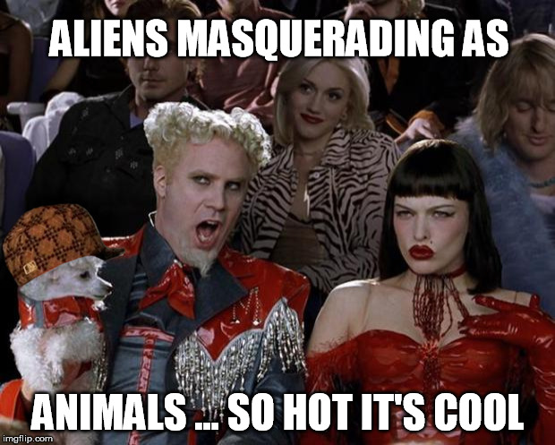 Mugatu So Hot Right Now Meme | ALIENS MASQUERADING AS ANIMALS ... SO HOT IT'S COOL | image tagged in memes,mugatu so hot right now,scumbag | made w/ Imgflip meme maker