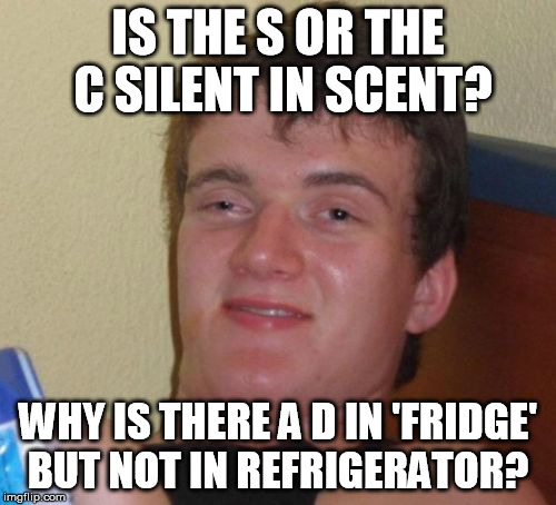 10 Guy Meme | IS THE S OR THE C SILENT IN SCENT? WHY IS THERE A D IN 'FRIDGE' BUT NOT IN REFRIGERATOR? | image tagged in memes,10 guy | made w/ Imgflip meme maker