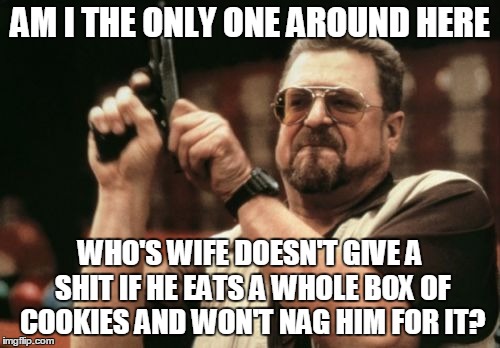 Am I The Only One Around Here Meme | AM I THE ONLY ONE AROUND HERE WHO'S WIFE DOESN'T GIVE A SHIT IF HE EATS A WHOLE BOX OF COOKIES AND WON'T NAG HIM FOR IT? | image tagged in memes,am i the only one around here | made w/ Imgflip meme maker