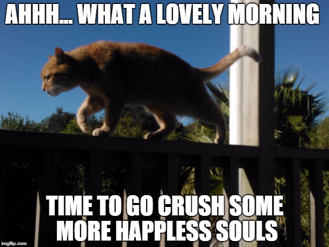 AHHH... WHAT A LOVELY MORNING TIME TO GO CRUSH SOME MORE HAPPLESS SOULS | image tagged in flynndacat | made w/ Imgflip meme maker