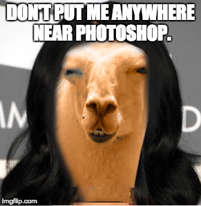 Katy Perry as a Llama? Why not. | DON'T PUT ME ANYWHERE NEAR PHOTOSHOP. | image tagged in llama,katyperry,lol,meme,photoshop,funny | made w/ Imgflip meme maker