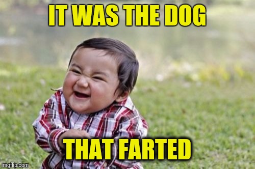 Fart | IT WAS THE DOG THAT FARTED | image tagged in memes,evil toddler | made w/ Imgflip meme maker
