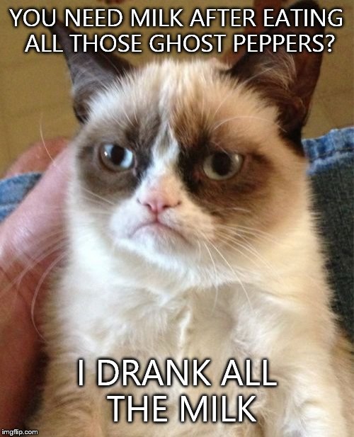Grumpy Cat | YOU NEED MILK AFTER EATING ALL THOSE GHOST PEPPERS? I DRANK ALL THE MILK | image tagged in memes,grumpy cat | made w/ Imgflip meme maker