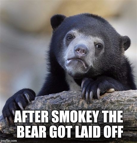 Confession Bear | AFTER SMOKEY THE BEAR GOT LAID OFF | image tagged in memes,confession bear | made w/ Imgflip meme maker