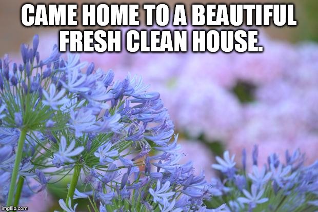 FLOWERS | CAME HOME TO A BEAUTIFUL FRESH CLEAN HOUSE. | image tagged in flowers | made w/ Imgflip meme maker