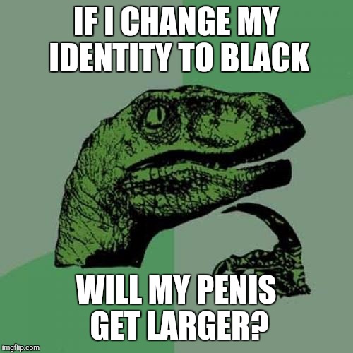 Philosoraptor Meme | IF I CHANGE MY IDENTITY TO BLACK WILL MY P**IS GET LARGER? | image tagged in memes,philosoraptor | made w/ Imgflip meme maker