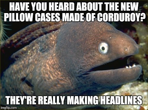 Bad Joke Eel | HAVE YOU HEARD ABOUT THE NEW PILLOW CASES MADE OF CORDUROY? THEY'RE REALLY MAKING HEADLINES | image tagged in memes,bad joke eel | made w/ Imgflip meme maker