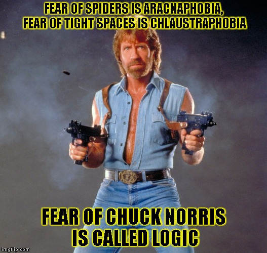 Chuck Norris Guns | FEAR OF SPIDERS IS ARACNAPHOBIA, FEAR OF TIGHT SPACES IS CHLAUSTRAPHOBIA FEAR OF CHUCK NORRIS IS CALLED LOGIC | image tagged in chuck norris | made w/ Imgflip meme maker