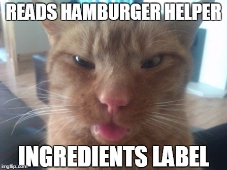 derpcat | READS HAMBURGER HELPER INGREDIENTS LABEL | image tagged in derpcat | made w/ Imgflip meme maker