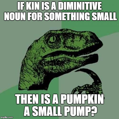 I'm wondering this myself. | IF KIN IS A DIMINITIVE NOUN FOR SOMETHING SMALL THEN IS A PUMPKIN A SMALL PUMP? | image tagged in memes,philosoraptor | made w/ Imgflip meme maker