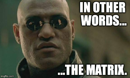 Matrix Morpheus Meme | IN OTHER WORDS... ...THE MATRIX. | image tagged in memes,matrix morpheus | made w/ Imgflip meme maker