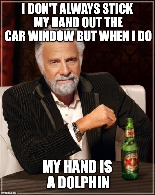 The Most Interesting Man In The World Meme | I DON'T ALWAYS STICK MY HAND OUT THE CAR WINDOW
BUT WHEN I DO MY HAND IS A DOLPHIN | image tagged in memes,the most interesting man in the world | made w/ Imgflip meme maker