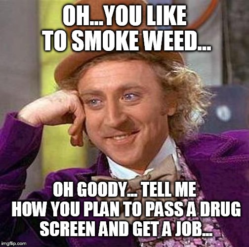 Creepy Condescending Wonka | OH...YOU LIKE TO SMOKE WEED... OH GOODY... TELL ME HOW YOU PLAN TO PASS A DRUG SCREEN AND GET A JOB... | image tagged in memes,creepy condescending wonka | made w/ Imgflip meme maker