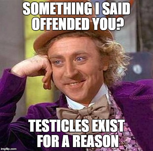 Creepy Condescending Wonka | SOMETHING I SAID OFFENDED YOU? TESTICLES EXIST FOR A REASON | image tagged in memes,creepy condescending wonka | made w/ Imgflip meme maker