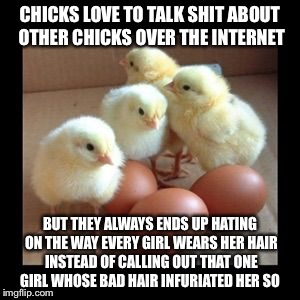 CHICKS LOVE TO TALK SHIT ABOUT OTHER CHICKS OVER THE INTERNET BUT THEY ALWAYS ENDS UP HATING ON THE WAY EVERY GIRL WEARS HER HAIR INSTEAD OF | image tagged in baby chicks | made w/ Imgflip meme maker