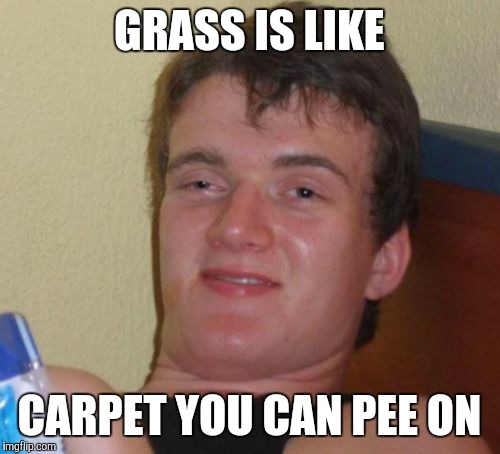 10 Guy Meme | GRASS IS LIKE CARPET YOU CAN PEE ON | image tagged in memes,10 guy | made w/ Imgflip meme maker