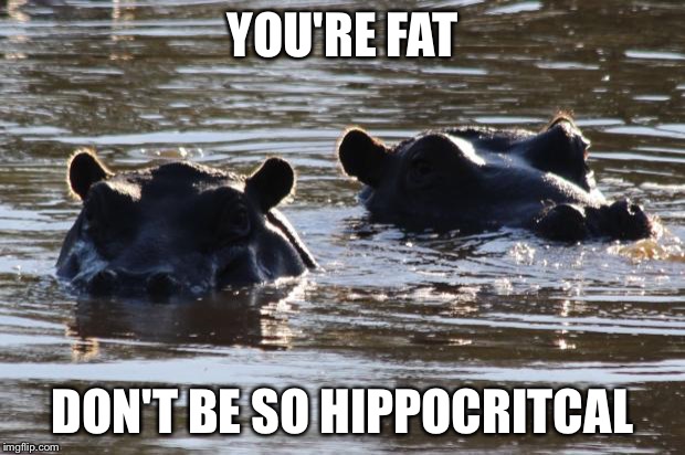 2 hippos | YOU'RE FAT DON'T BE SO HIPPOCRITCAL | image tagged in 2 hippos,puns | made w/ Imgflip meme maker