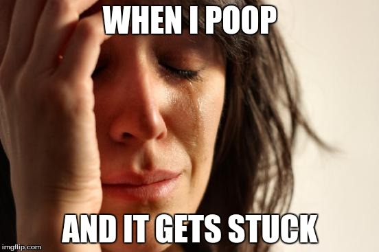 First World Problems Meme | WHEN I POOP AND IT GETS STUCK | image tagged in memes,first world problems | made w/ Imgflip meme maker