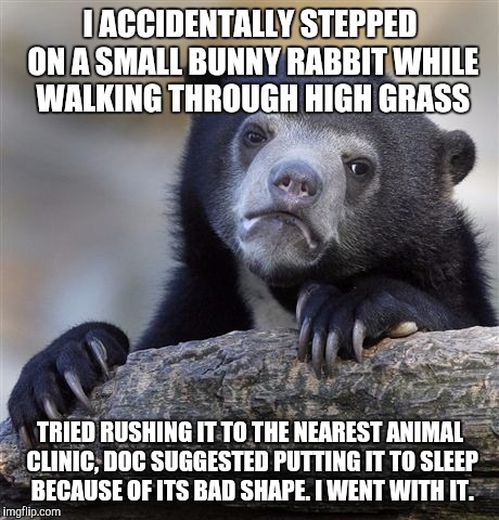 Confession Bear | I ACCIDENTALLY STEPPED ON A SMALL BUNNY RABBIT WHILE WALKING THROUGH HIGH GRASS TRIED RUSHING IT TO THE NEAREST ANIMAL CLINIC, DOC SUGGESTED | image tagged in memes,confession bear,AdviceAnimals | made w/ Imgflip meme maker
