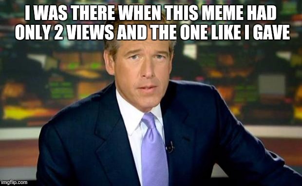 Brian Williams Was There Meme | I WAS THERE WHEN THIS MEME HAD ONLY 2 VIEWS AND THE ONE LIKE I GAVE | image tagged in memes,brian williams was there | made w/ Imgflip meme maker