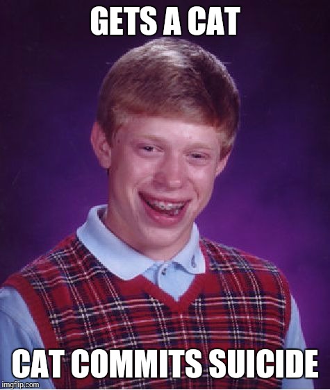 Bad Luck Brian Meme | GETS A CAT CAT COMMITS SUICIDE | image tagged in memes,bad luck brian | made w/ Imgflip meme maker