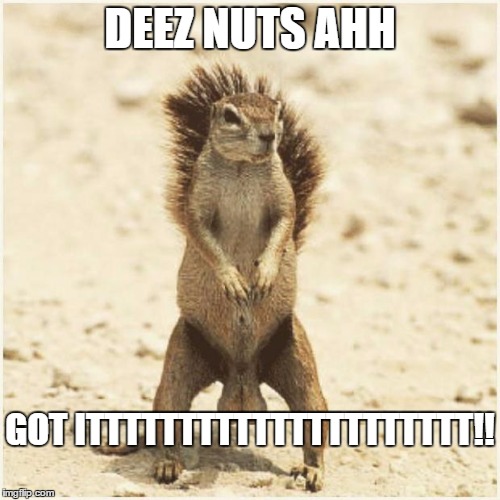 DEEZ NUTS | DEEZ NUTS AHH GOT ITTTTTTTTTTTTTTTTTTTTT!! | image tagged in deez nuts | made w/ Imgflip meme maker